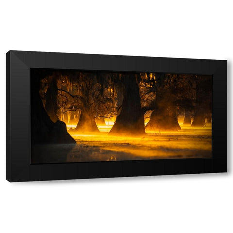 Morning Light Black Modern Wood Framed Art Print by Zheng, Michael