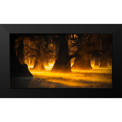 Morning Light Black Modern Wood Framed Art Print by Zheng, Michael