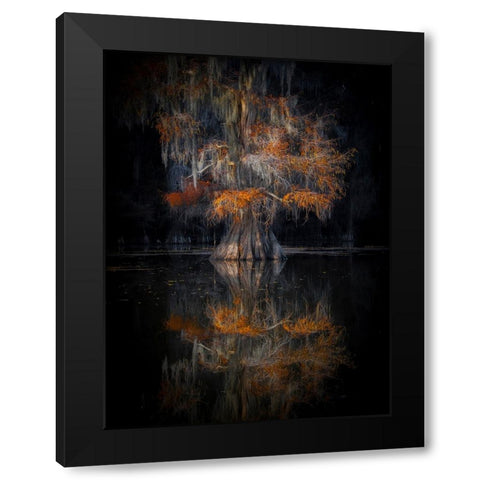 Cypress Reflection Black Modern Wood Framed Art Print with Double Matting by Zheng, Michael