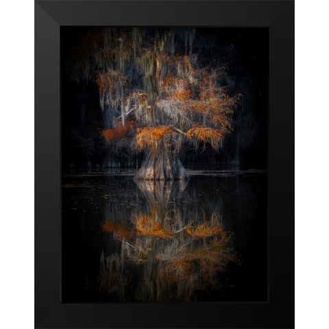 Cypress Reflection Black Modern Wood Framed Art Print by Zheng, Michael