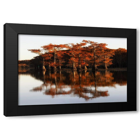 Reflection of Caddo Lake Black Modern Wood Framed Art Print with Double Matting by Chen, Janice W.