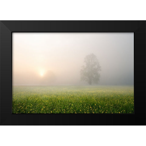 Spring Decoration Black Modern Wood Framed Art Print by Fan, John