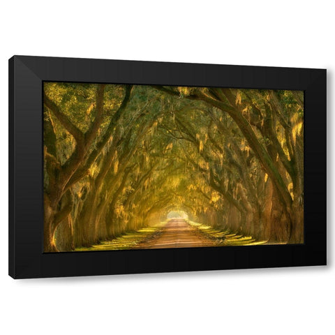 Illumination Alley Black Modern Wood Framed Art Print with Double Matting by Moore, Chris