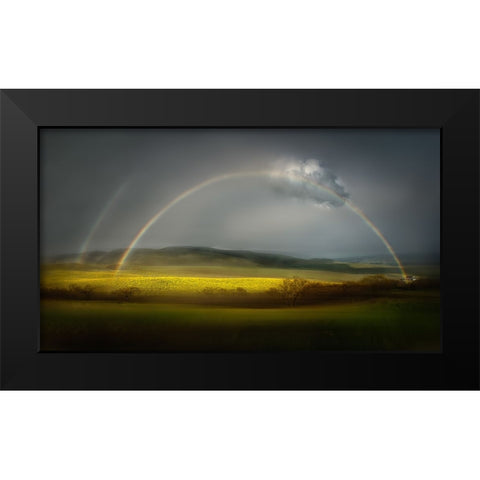 The Spring Bliss Black Modern Wood Framed Art Print by Dou, Shenshen