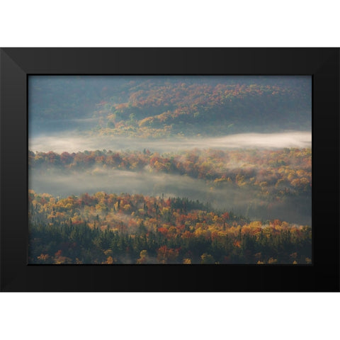 Misty Morning Black Modern Wood Framed Art Print by Austin