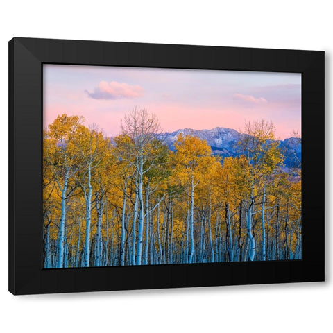 Autumn Delight Black Modern Wood Framed Art Print by Fan, John