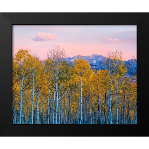 Autumn Delight Black Modern Wood Framed Art Print by Fan, John