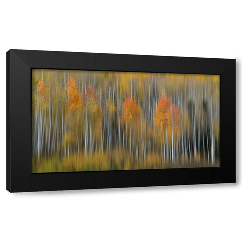 Fall Impression #2 Black Modern Wood Framed Art Print with Double Matting by Austin