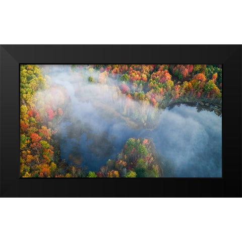 Autumn Symphony I Black Modern Wood Framed Art Print by Fan, John