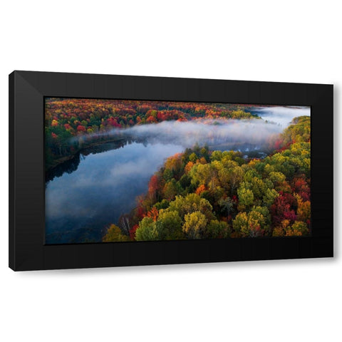 Autumn Symphony II Black Modern Wood Framed Art Print by Fan, John