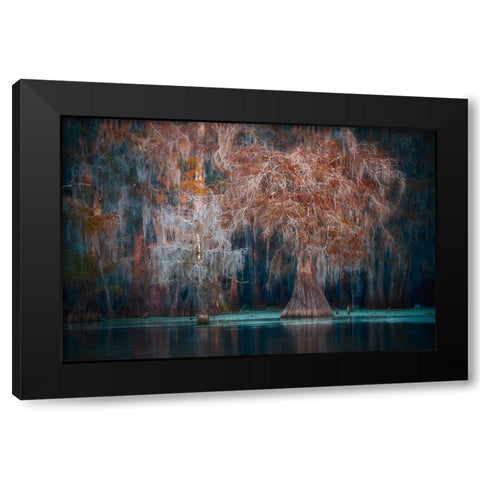Louisiana Black Modern Wood Framed Art Print with Double Matting by Marchegiani, Roberto