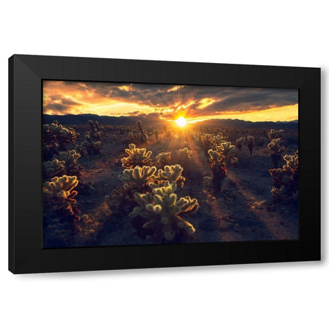 Kingdom Of Chola Black Modern Wood Framed Art Print with Double Matting by Bandyopadhyay, Atanu