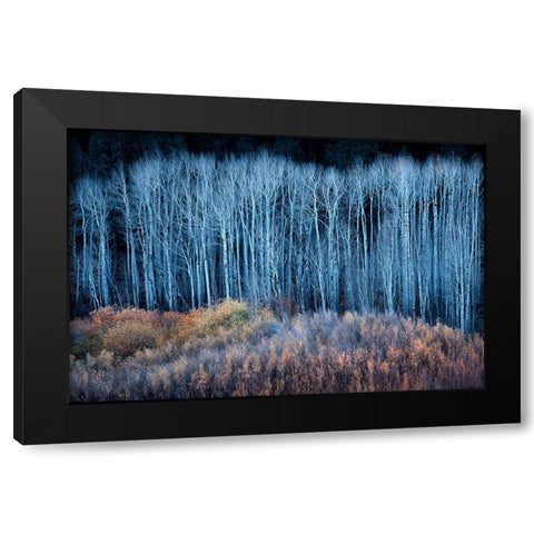 End of Autumn Black Modern Wood Framed Art Print by Xu, Mei