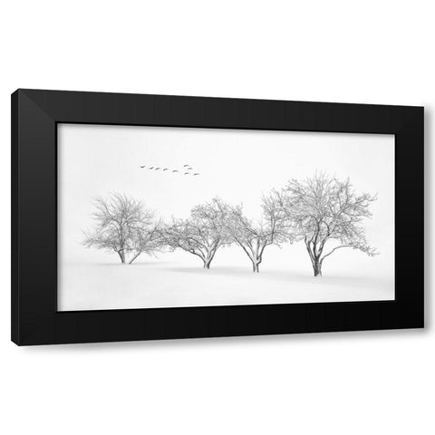 White World Black Modern Wood Framed Art Print by Xu, Mei