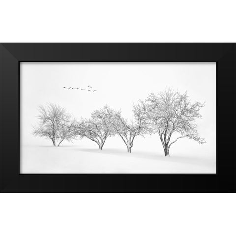 White World Black Modern Wood Framed Art Print by Xu, Mei