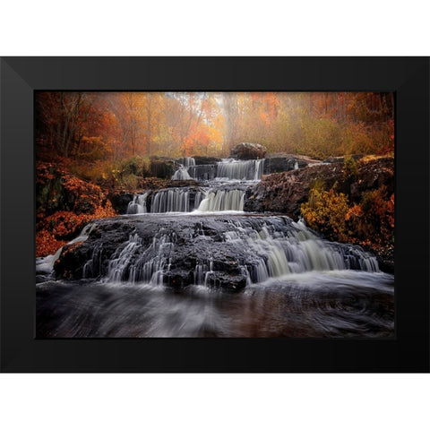 Fall of Fall Black Modern Wood Framed Art Print by Wei, Shi aamp