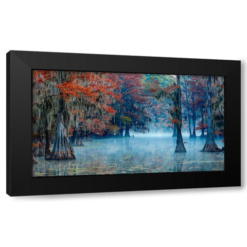 Caddo Lake Black Modern Wood Framed Art Print by Bian, James