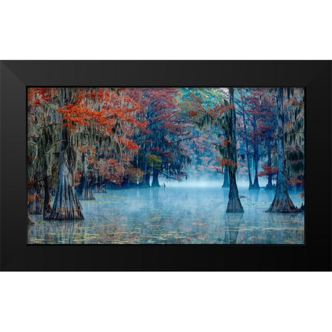 Caddo Lake Black Modern Wood Framed Art Print by Bian, James