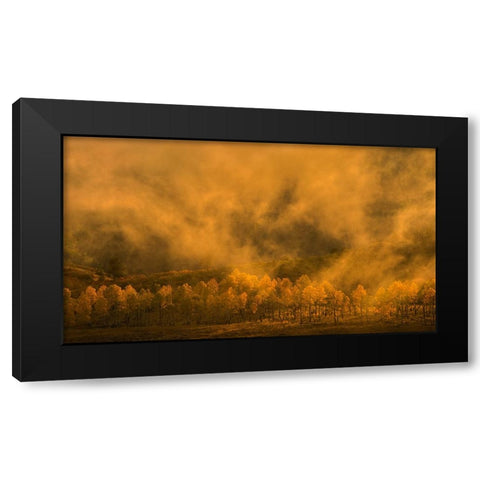 Garden of Eden Black Modern Wood Framed Art Print by Fan, John
