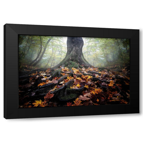 Autumn Black Modern Wood Framed Art Print by Chen, Cicy