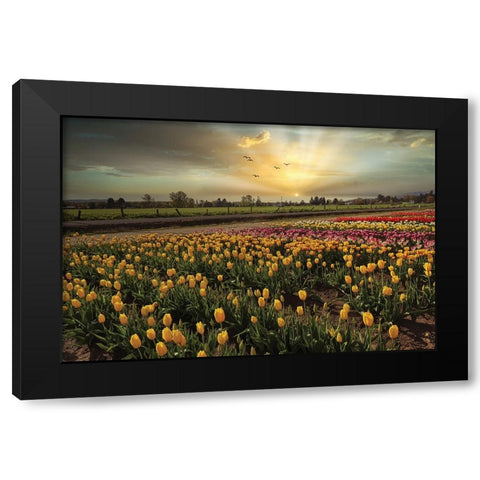 Natures Bounty Black Modern Wood Framed Art Print by Kulkarni, Sunil