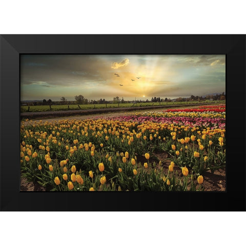 Natures Bounty Black Modern Wood Framed Art Print by Kulkarni, Sunil