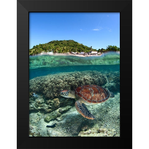 Along shore Black Modern Wood Framed Art Print by Narchuk, Andrey