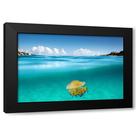 The Dangerous Encounter Black Modern Wood Framed Art Print by Sysa Moiola, Roberto