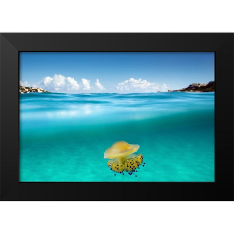 The Dangerous Encounter Black Modern Wood Framed Art Print by Sysa Moiola, Roberto