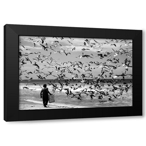 Birds birds Black Modern Wood Framed Art Print with Double Matting by van der, Liesbeth