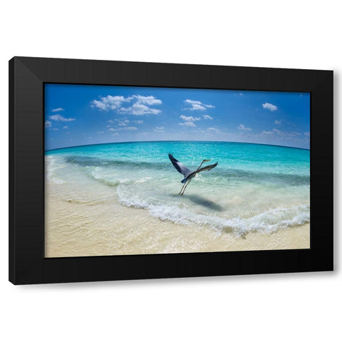 Take-off Black Modern Wood Framed Art Print by Marchegiani, Roberto
