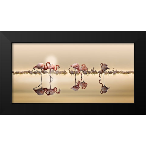 FLAMINGOS Black Modern Wood Framed Art Print by OSMAN, NASSER