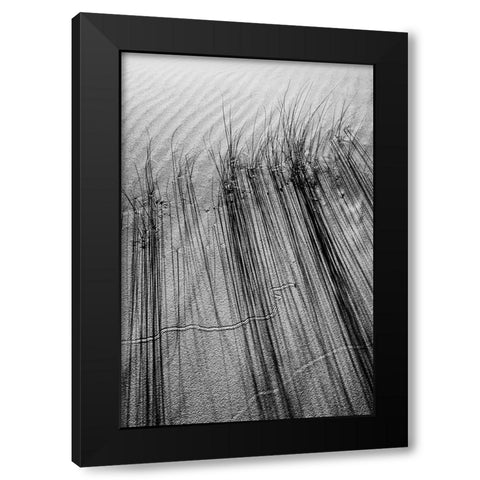 DUNE #7 Black Modern Wood Framed Art Print with Double Matting by Rousse, Pascal