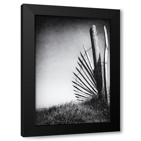 No offence in the dunes Black Modern Wood Framed Art Print with Double Matting by Flour, Bruno