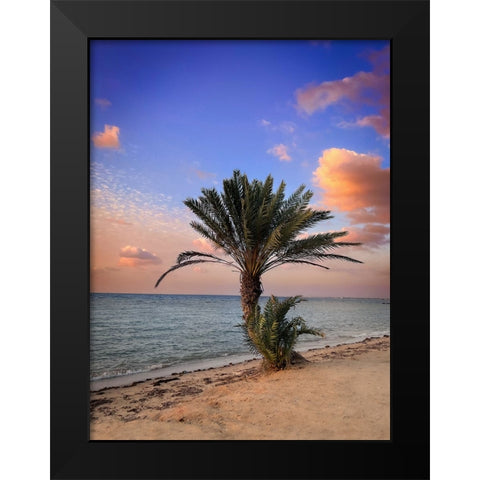 Palm beach Black Modern Wood Framed Art Print by G Alfidi, Saleem