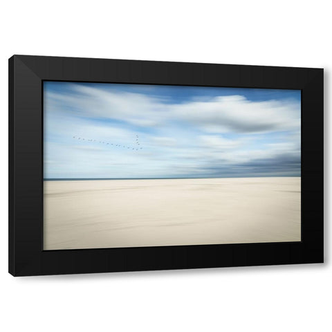 Birds at the seaside Black Modern Wood Framed Art Print by Reichelt, Dieter