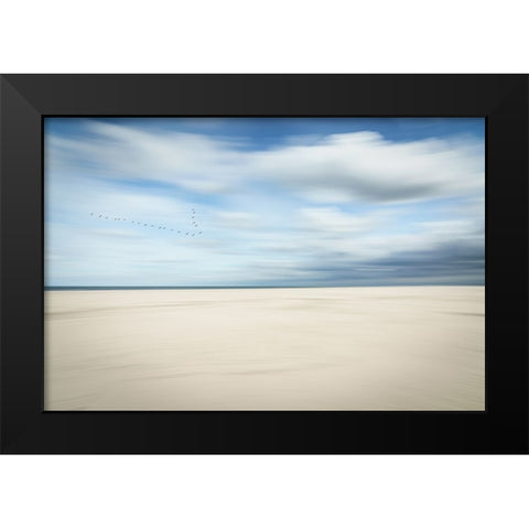 Birds at the seaside Black Modern Wood Framed Art Print by Reichelt, Dieter