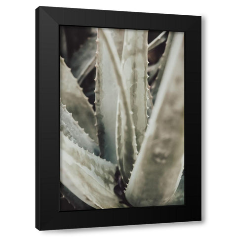 Aloe 001 Black Modern Wood Framed Art Print with Double Matting by Artographie Studio