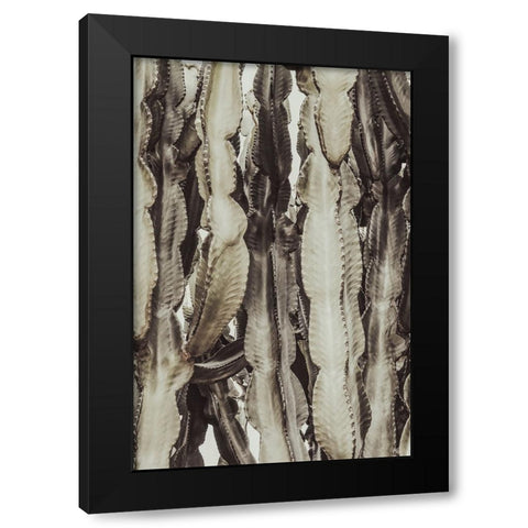 Cactus 001 Black Modern Wood Framed Art Print with Double Matting by Artographie Studio