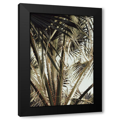 Palmblad 006 Black Modern Wood Framed Art Print by Artographie Studio