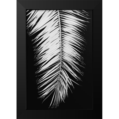 Palmblad 004 Black Modern Wood Framed Art Print by Artographie Studio