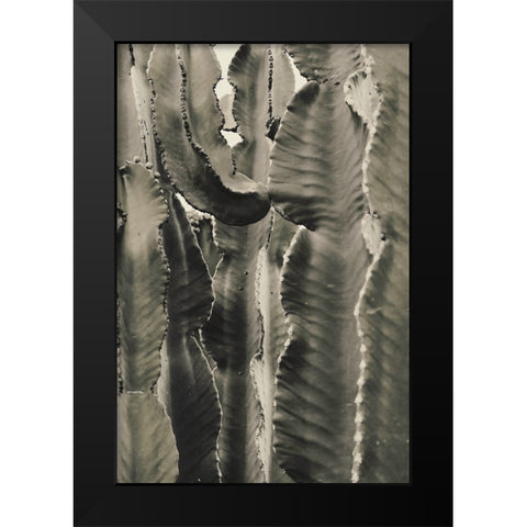 Cactus 002 Black Modern Wood Framed Art Print by Artographie Studio