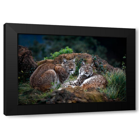 Moonschein Lovers Black Modern Wood Framed Art Print with Double Matting by Barbieri, Gianfranco