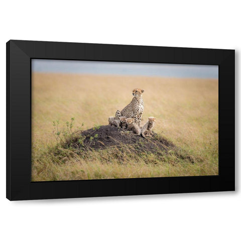 Regal Protector Black Modern Wood Framed Art Print with Double Matting by Taylor, Ted