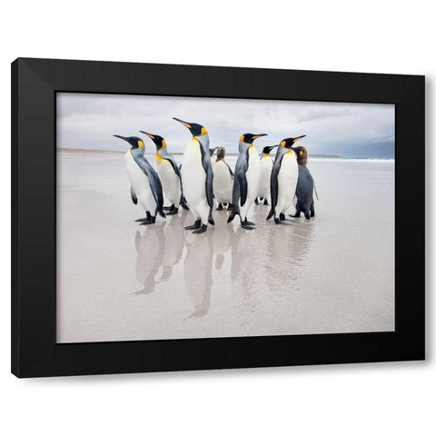 Bodyguard Black Modern Wood Framed Art Print with Double Matting by Gil Raga, Joan