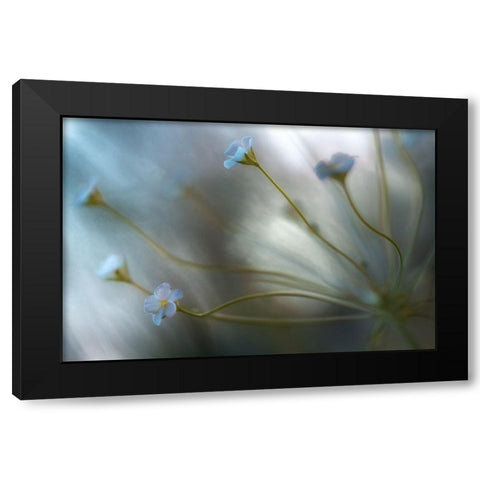 Jasmine Black Modern Wood Framed Art Print with Double Matting by Disher, Mandy