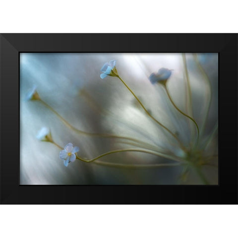 Jasmine Black Modern Wood Framed Art Print by Disher, Mandy