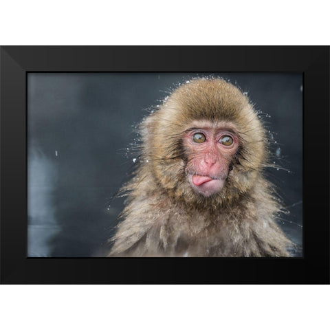 Untitled No 5807 Black Modern Wood Framed Art Print by Marumoto, Takeshi