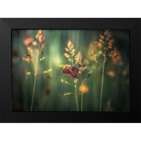 Last Light Black Modern Wood Framed Art Print by Vinogradof, Florentin