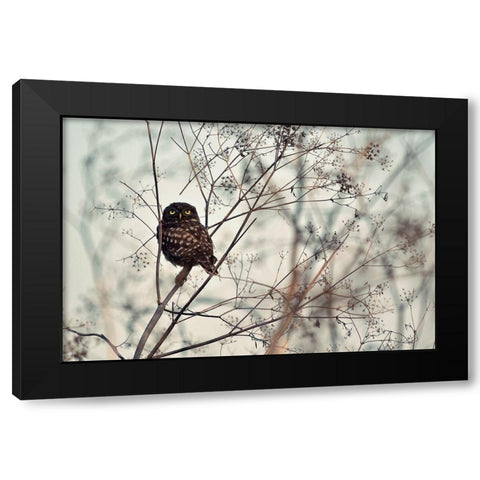 Look at Me Black Modern Wood Framed Art Print with Double Matting by Avramescu, Emilian